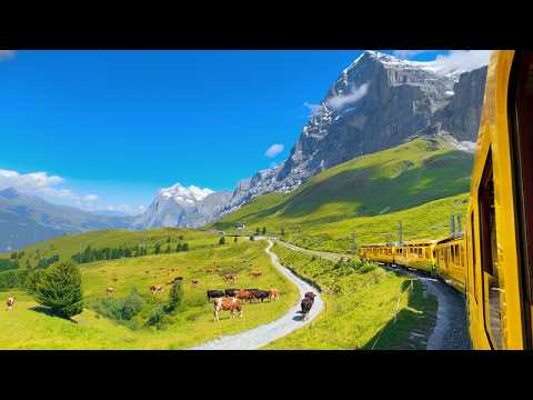 Der landschaftlich reizvollste Bergzug der Welt! | 🇨🇭 Interlaken nach Kleine Scheidegg