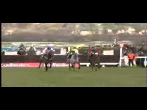 Cheltenham 2013   The 14 Championship Races