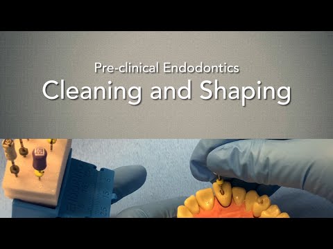 Cleaning and Shaping - Root Canal Treatment