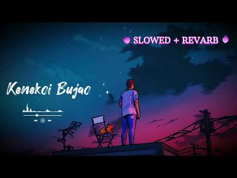 Kenekoi Bujao Lofi [ SLOWED + REVARB ] Tanmoy Saikia