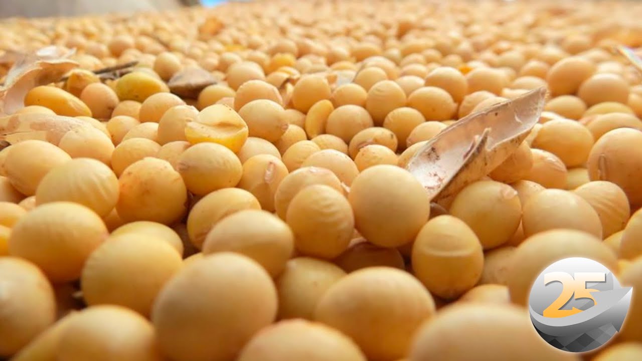 Entrevista com Ginaldo de Sousa - Diretor Geral do Grupo Labhoro sobre o Fechamento de Mercado da...