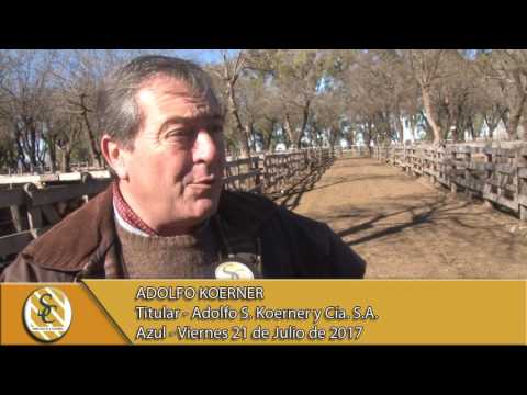 21-07-17 Nota a Adolfo Koerner - Adolfo S Koerner - Azul