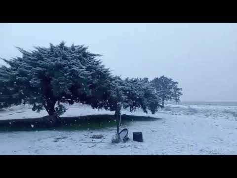 Nieve en zona rural de Benito Juárez, Buenos Aires 02/07/26 #nieve #nevadas 