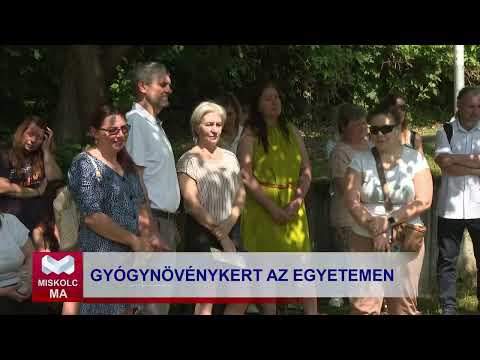 Videó előnézet
