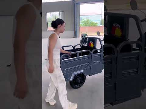 "Special-shaped three-wheeled vehicle, passenger and cargo dual-purpose model"#electricvehicle