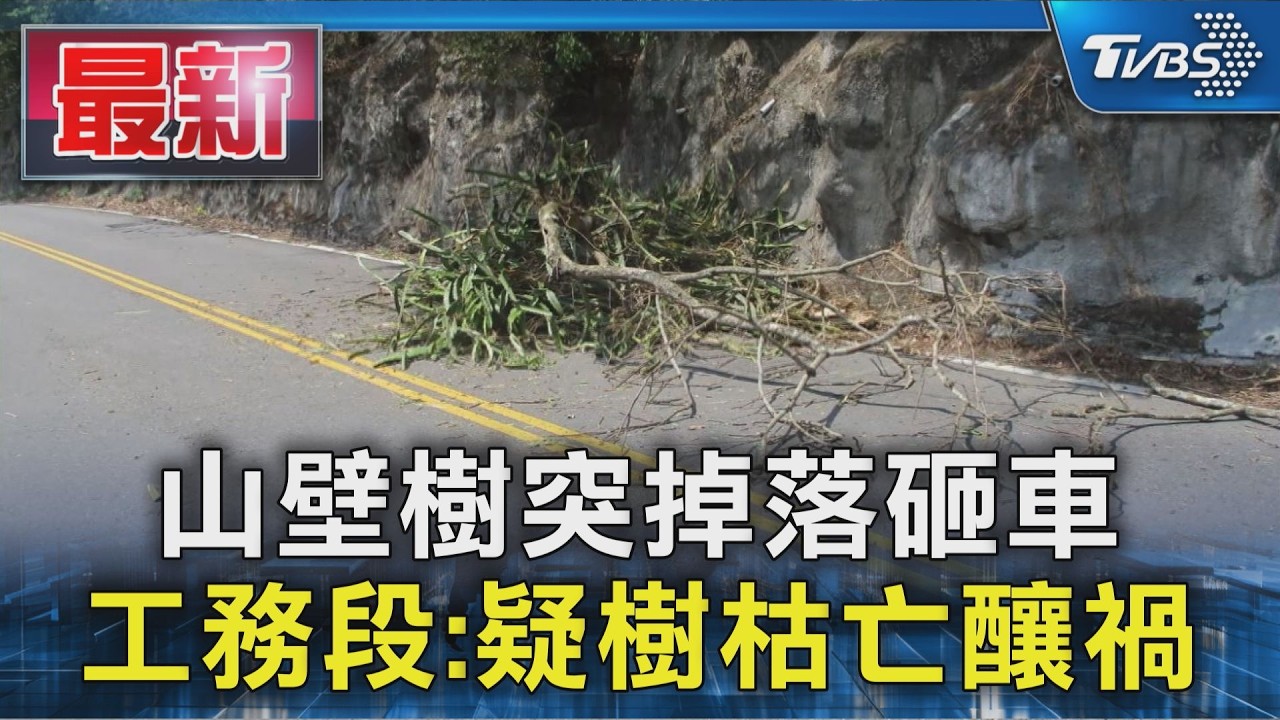 影音／台8線驚魂！樹木突砸車「擋風玻璃全碎」　車主質疑防護網失效