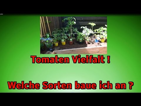 , title : 'Tomaten Vielfalt ! Welche Sorten baue ich in meinem Gemüse Garten an ? Die Auswahl groß !'