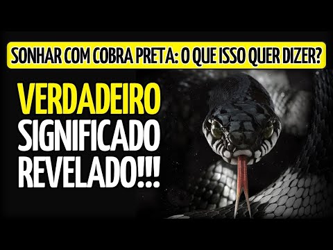 🚨WARNING🚨 WHAT DOES IT MEAN TO DREAM ABOUT A BLACK SNAKE? MEANING OF DREAMING ABOUT A BLACK SNAKE
