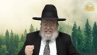 דף היומי בחצי שעה – מסכת זבחים דף פ”ז
