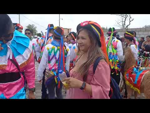 Fiesta en honor al NIÑO de Isinche en Cotopaxi #Pujilí #Ecuador 🇪🇨