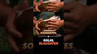 How HALAL slaughter is done حلال✅