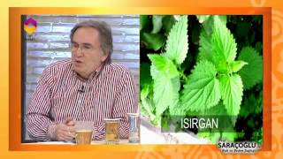 Hemoroid İçin Kür - TRT DİYANET