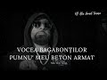 VOCEA BAGABONȚILOR PUMNU MEU BETON ARMAT OFICIAL VIDEO