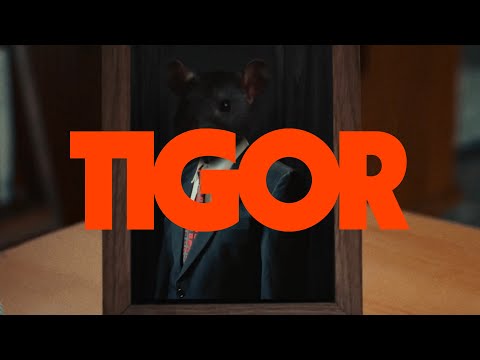 Thumbnail Video TIGOR