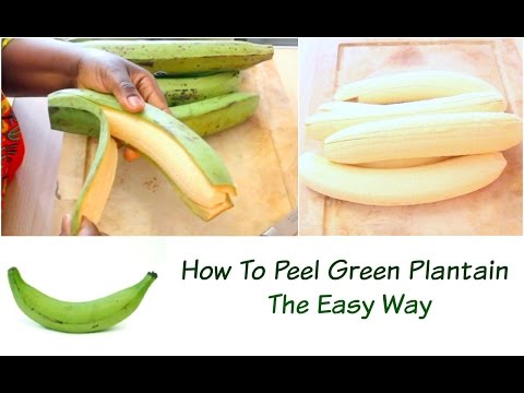 How to Peel Green Plantains / Platanos The Easy Way Praise Onaturals