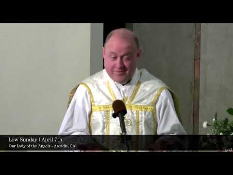 FAITH & REASON SERVE ONE ANOTHER -Fr Burfitt Sermon-Dominica in Albis Sunday