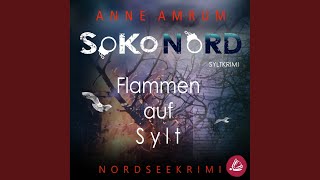 Kapitel 17 - Soko Nord - Flammen auf Sylt: Syltkrimi Nordseekrimi