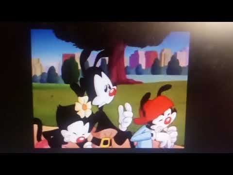 Wheel of Morality #2