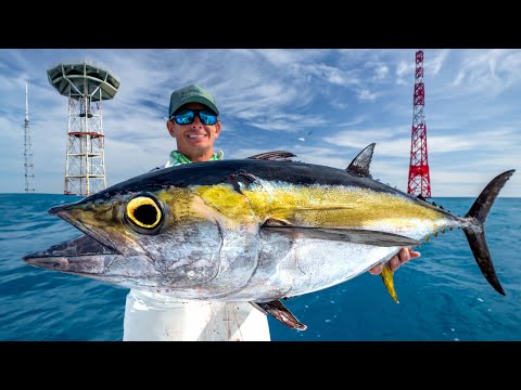 MILITARY Towers Loaded with Fish! Catch Clean Cook- Tuna
