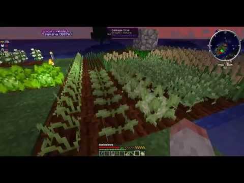 Blightfall Cooking set up.