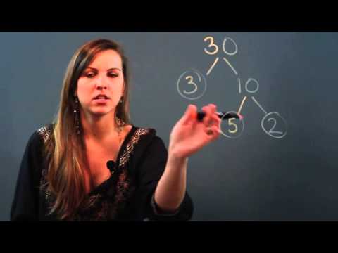 What Is the Difference Between a Factor Tree & Prime Factorization?