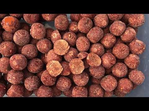 Mastodont Baits - Představení řady boilies Crazy Mussels
