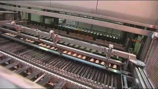 Commercial Baking in America: From Its Roots to the Current Picture!