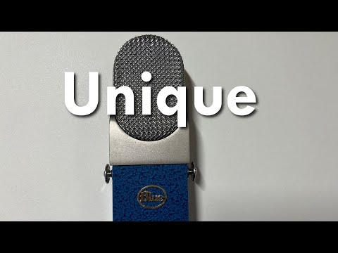BLUE Blueberry Microphone + Shock Mount image 13