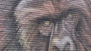 THE MASK OF ZION 196 THE NIGGER PROBLEM