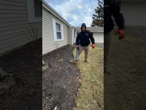 Spring clean ups and fresh mulch #landscaping #mulching #spring #diy #howto #beforeandafter #home