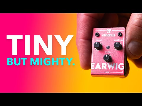 Introducing Olinthus Earwig, The World's Smallest Fuzz Pedal!