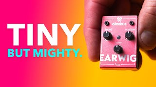 Introducing Olinthus Earwig, The World's Smallest Fuzz Pedal!