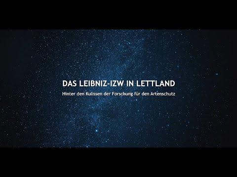 Das Leibniz-IZW in Lettland - hinter den Kulissen der Forschung für den Artenschutz