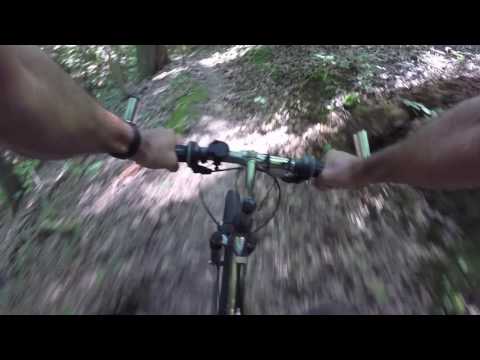 Bing Futch - "See & Avoid"