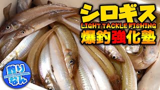 【シロギス】釣果を伸ばす15のコツとは？多点掛け&パーフェクトを狙えるガチのちょい投げ限界突破