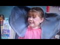 Barney 1 2 3 4 5 Senses 1993 Time Life Version Part 2