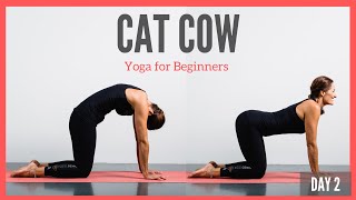 How to do cat cow | Yoga for beginners | 5 minute yoga
