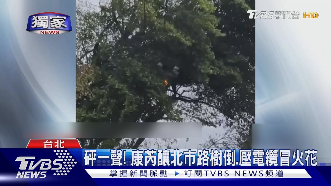 砰一聲!康芮颱風釀北市路樹倒塌 壓高壓電纜冒火花
