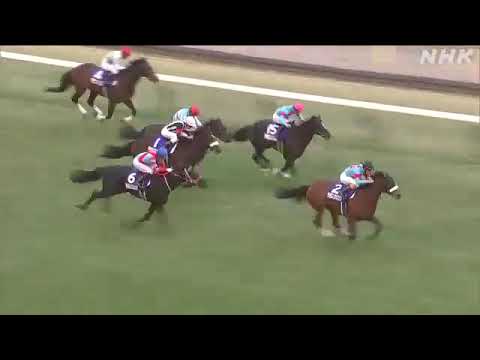 競馬 ジャパンカップ アーモンドアイ 芝のG1で9勝目 有終の美