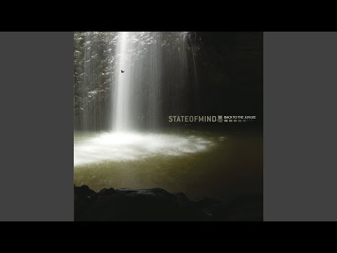 Surreality (feat. Chris SU)