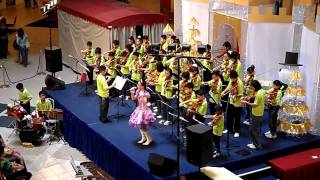 Ipoh Youth Orchestra Performance Video 3