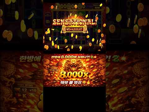 단 1스핀에 8,000배?!