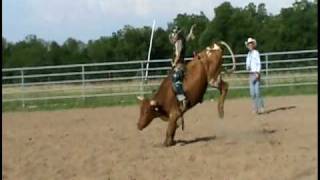 preview picture of video 'JBR junior bull riding dylan gazaway'