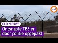 GLD Nieuws 11 mei 2023