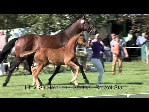 Hf v Sir Heinrich x Goethe