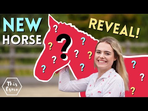 Meet My New Rescue Horse! Big Reveal! AD | This Esme
