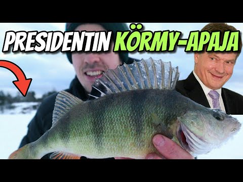 Hyvä ahvenpaikka Helsingin sykkeessä💥 | Ahvenen pilkintä