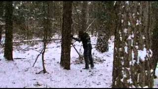 Zimske - Return in Depressive Times