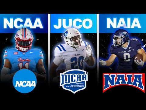 Die WIRKLICHEN Unterschiede zwischen D1, D2 und D3 🚨