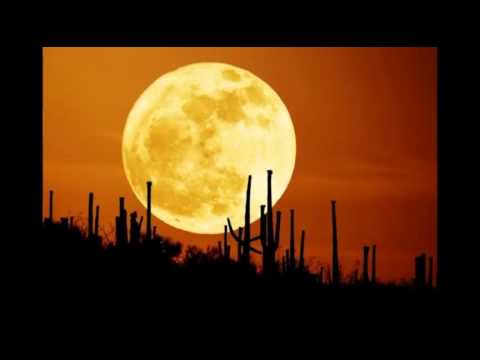 FredFox - Leva-me á Lua